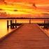 Ultimate Ambient Chillout Relax Work Study Unwind Your Mind Lounge Vibes For Relaxation