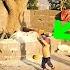 Documentary Of Nomadic Life Saif Ella S Efforts To Consolidate Her Love