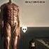 Attack On Titan Edit Attackontitanedit Titans Anime Eren