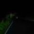 Junona Forest Night View Night Trees