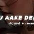 Tu Aake Dekh Le Slowed Reverb