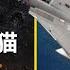 被吹噓過頭的F 14雄貓 油膩小生耍帥為主 敵人用的比自家好 看懂工作室