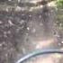 Dirt Bikeing Grizzly Helena