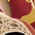 MIDDLE EAR FLUID EXPLAINED Shorts