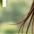 Country Relax 104 Calm Cozy Playlist For Relax Work Pop Ballad Study Coffee