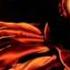 Massive Attack Feat Horace Andy Angel