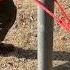 WoW Incredible Rope Tension System