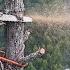 WORLDS BEST CLIMBING TUTORIAL How To Climb And Remove A Tree