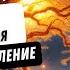 Избавься от травмы отвержения глубокая медитация исцеления