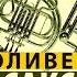 Музыкофилия Сакс Оливер Аудиокнига 1 часть