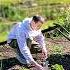 How Much Food Can I Grow In This Patch Ep 1 Spring Work Starting Seeds And Preparing The Ground