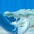 How To Survive If A Crocodile Attacks You