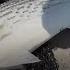Forever Chemicals Found In Fish Caught In San Francisco Bay Report Warns