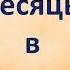 Месяцы в китайском языке