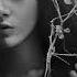 Hatef Mehraban Black Rain Rain Playlist