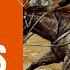 Buffalo Soldiers