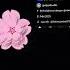 Join Iya Kk Ku Yang Cantik Edit Duet Roblox Emojicat