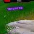 Dont Pull Up On Me Like That Fortnite Viral Youtubeshorts Gaming Trending Funny Fyp Shorts
