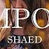 SHAED Trampoline Lyrics