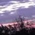 Ancient Egyptian Flute Meditation Music Bamboo Flute