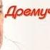 Дремучий медведь Константин Паустовский читает Павел Беседин