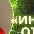 Тариф VIP куратор Вера Кадина курс ИНТУИЦИЯ от А до Я