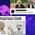 Мем Memes Funny Meme Fyp мем
