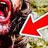 ER Doctor REACTS To Most Unbeatable Zombie Apocalypse 28 Days Later