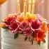 Best Happy Birthday Song English Happybirthday Cake Nocopyrightmusic Song Music