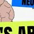 2 Minute Neuroscience Broca S Area