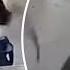 Humanoid Robot Attacks Workers On Factory Floor