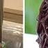 Fancy Balloon Chocolate Cake Decorating Ideas Chocolate Cake Hacks So Yummy Cake Tutorials 2