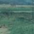 The End Of The War In Colour The Americans At The Elbe UNCENSORED FOOTAGE