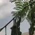 Azov Special Ops Take Out Russian Infantry Fighting Vehicle With US Javelin Missile Shorts