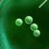 Allergy 3D Medical Animation