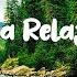 Music To Calm The Mind And Stop Thinking Relax Music To Reduce Anxiety And Sleep