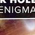 The Black Hole Entropy Enigma
