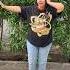 Back It Up And Dump It Ytshorts Exploredancepage Dance Explore Fyp Fypシ Viral Exploredance