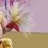 Nothing To Fear In Here The Wubbulous World Of Dr Seuss The Jim Henson Company