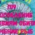 БИОЛОГИЯ 7 КЛАСС П 19 ПРИСПОСОБЛЕНИЕ РЫБ К УСЛОВИЯМ ОБИТАНИЯ ЗНАЧЕНИЕ РЫБ АУДИО СЛУШАТЬ