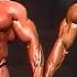 Dorian Yates Vs Kevin Levrone Both At Their Best 1992 Mr Olympia