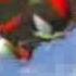 Shadow The Hedgehog I Am All Of Me AMV