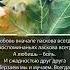 Омар Хайям Всё покупается и продаётся
