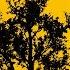 Kasey Chambers Jimmy Barnes Black Bess Official Audio