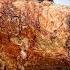 Roasting A Huge Bull On A Steel Spit The Best Meat I Ve Tasted