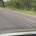 Elephant Attack Kruger National Park Phalaps