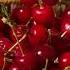 Share A Recipe Sourcherry Sourcherries Tartcherries Pie Cherry Cherries