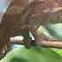 The Rip Roaring Life Of A Chameleon