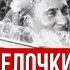 Мусульмане в Москве Апти Алаутдинов против РПЦ Милонов и куртизанки Троица и белочки