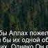Коран Сура Аш Шу ра 42 8 Чтение Корана с русским переводом Quran Translation In Russian